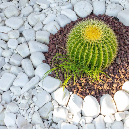 Thassos Carrara Marianna Impregnat Do Otoczaków 5L